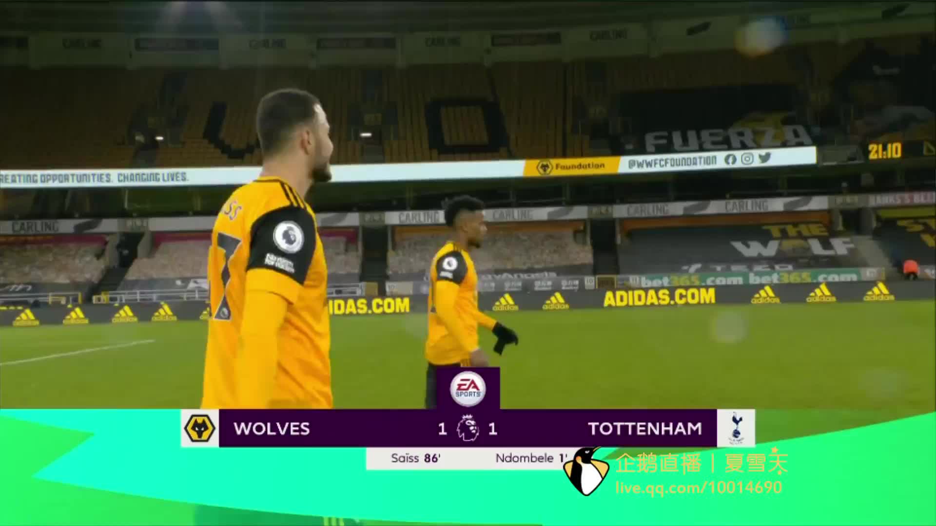 可能出现在 可能出现在